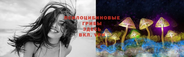 каннабис Верея