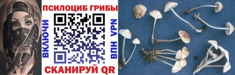 Псилоцибиновые грибы MAGIC MUSHROOMS Купить где Вилюйск